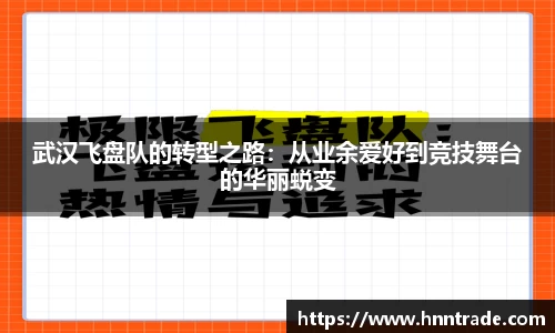 快盈VIII