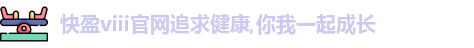 快盈VIII
